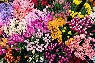 《街头霸王6》DLC角色Ed 2月参战 预告片发布